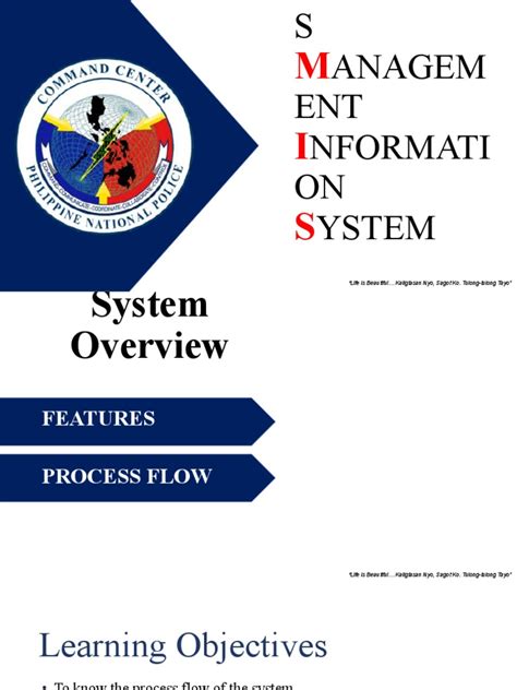 POMIS Overview .